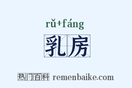 乳房是什么意思的图片